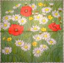 193 Anemones, Poppy - 3-ply - Eva Logell